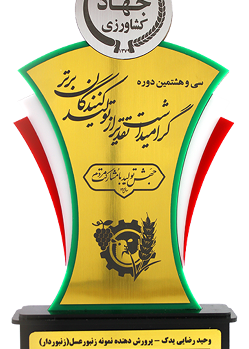 گرامیداشت